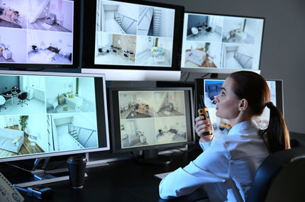 Executive Protection